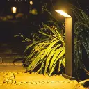 02.webp
