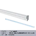 03.webp