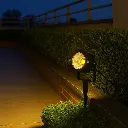 03.webp